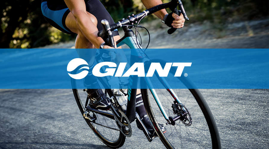 giant bicycles for women